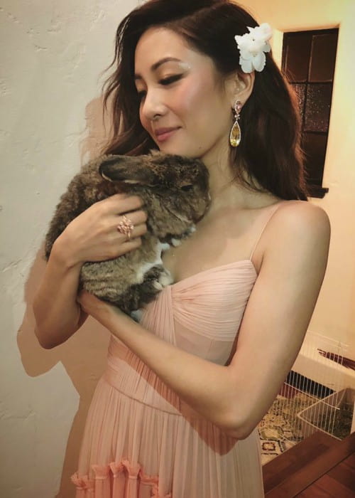 Constance Wu med kjæledyrkaninen hennes sett i august 2018