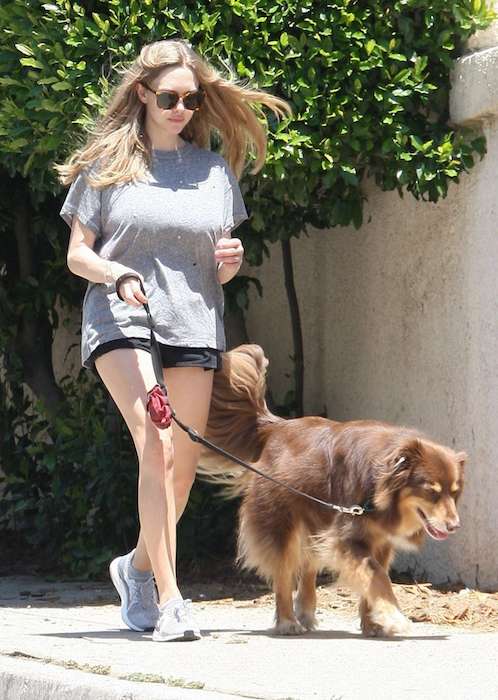 Η Αμάντα Σέιφριντ με σορτς κάνει βόλτα στο σκύλο της τον Μάιο του 2017