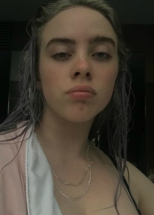 Billie Eilish i en Instagram -selfie i Singapore i januar 2018