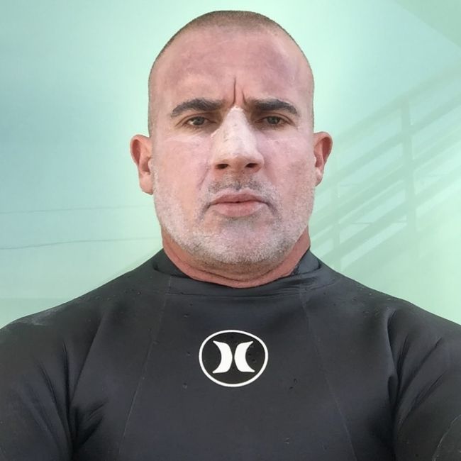 Dominic Purcell set i april 2020