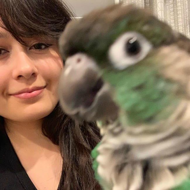 Jaiden Animations so svojím papagájom, ako bolo vidieť v decembri 2018