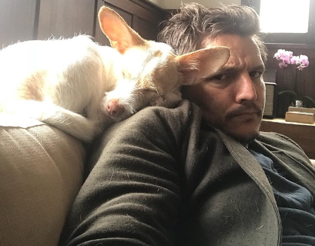 Pedro Pascal i en selfie med hunden sin i mars 2018