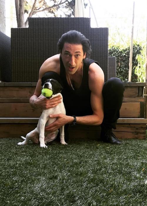 Adrien Brody med sin hunhund som set i marts 2017