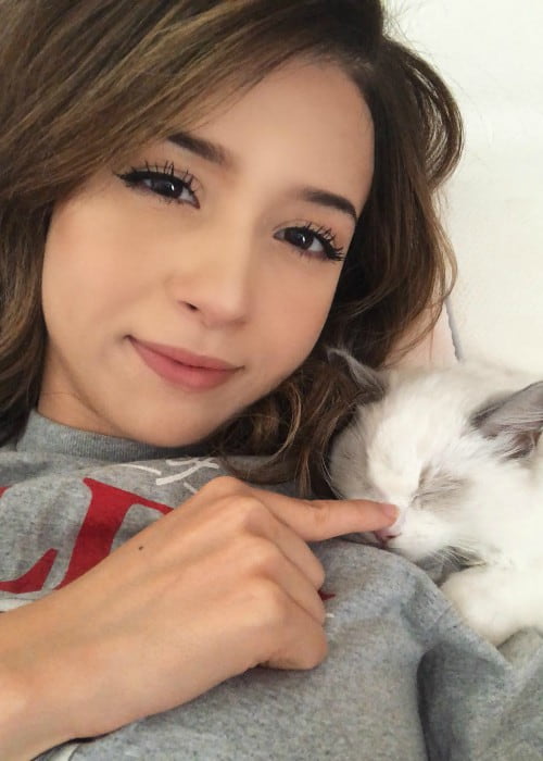 Pokimane v Instagram selfiju s svojo mačko, kot je bilo prikazano julija 2018