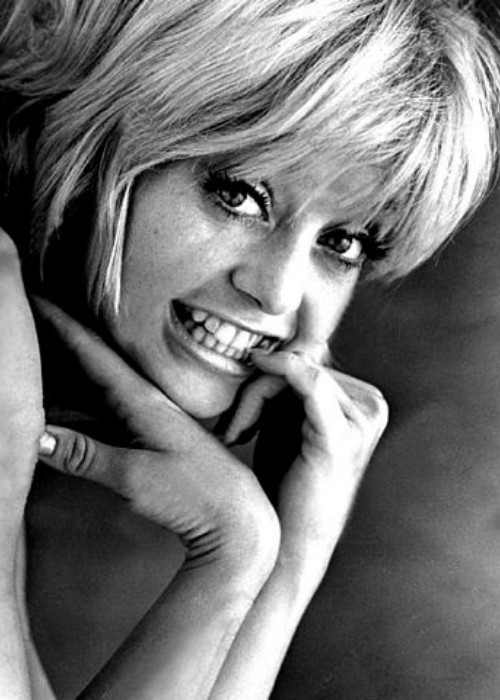 Goldie Hawn's reklamebillede til filmen Cactus Flower fra 1969