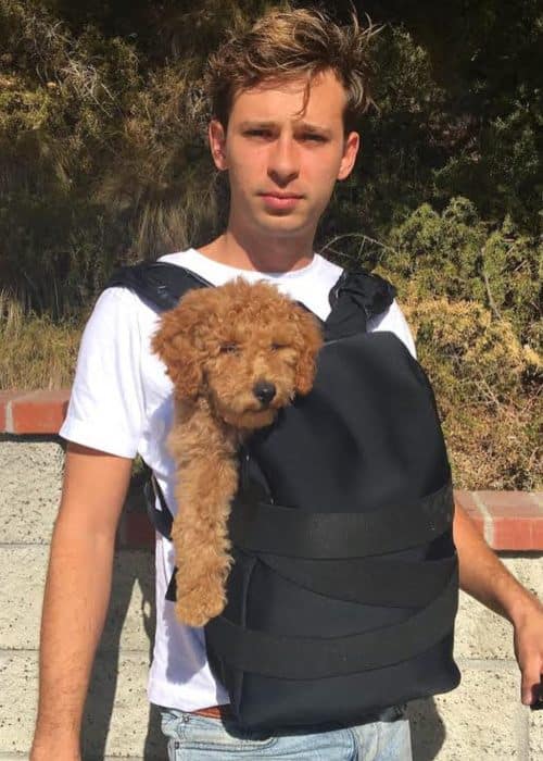 Flume με τον σκύλο του όπως φάνηκε τον Σεπτέμβριο του 2018