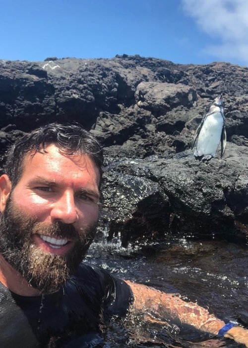 Dan Bilzerian svømmer udover pingvinerne på Galapagosøerne i april 2018