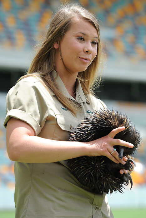 Bindi Irwin under en Brisbane Lions AFL mediemulighet i Brisbane Australia 3. februar 2014