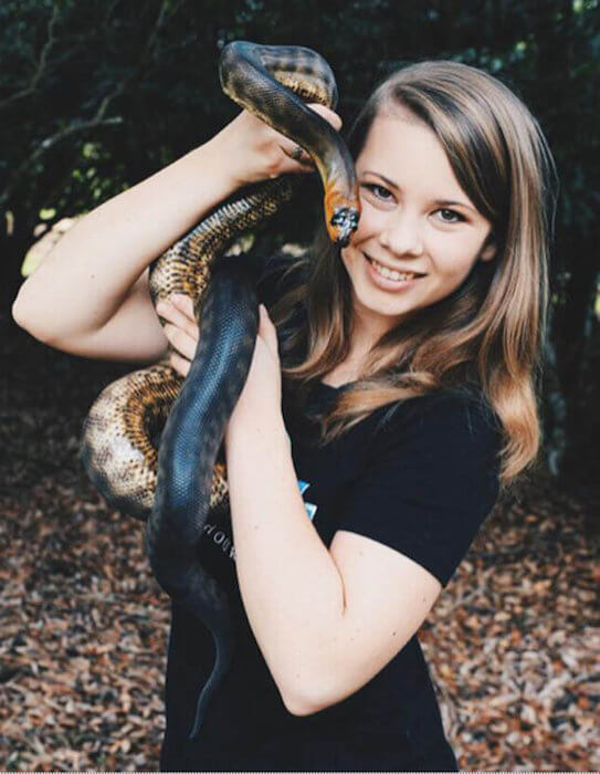 Bindi Irwin holdt en slange i 2015